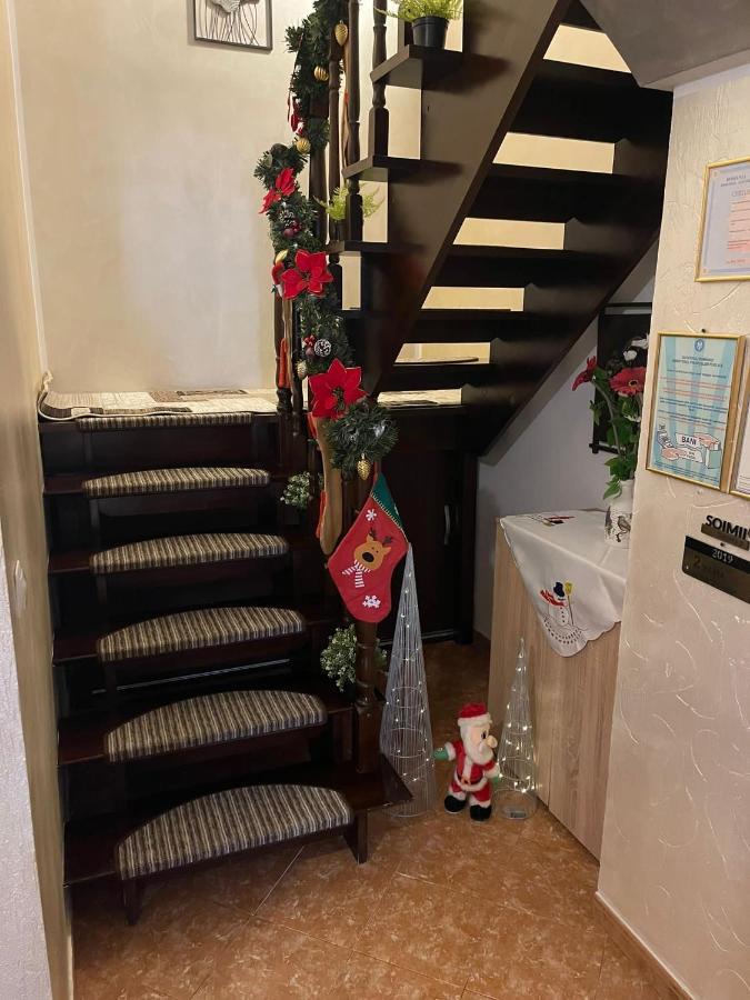 Casa Cu Pitici Guest House Vama  Bagian luar foto