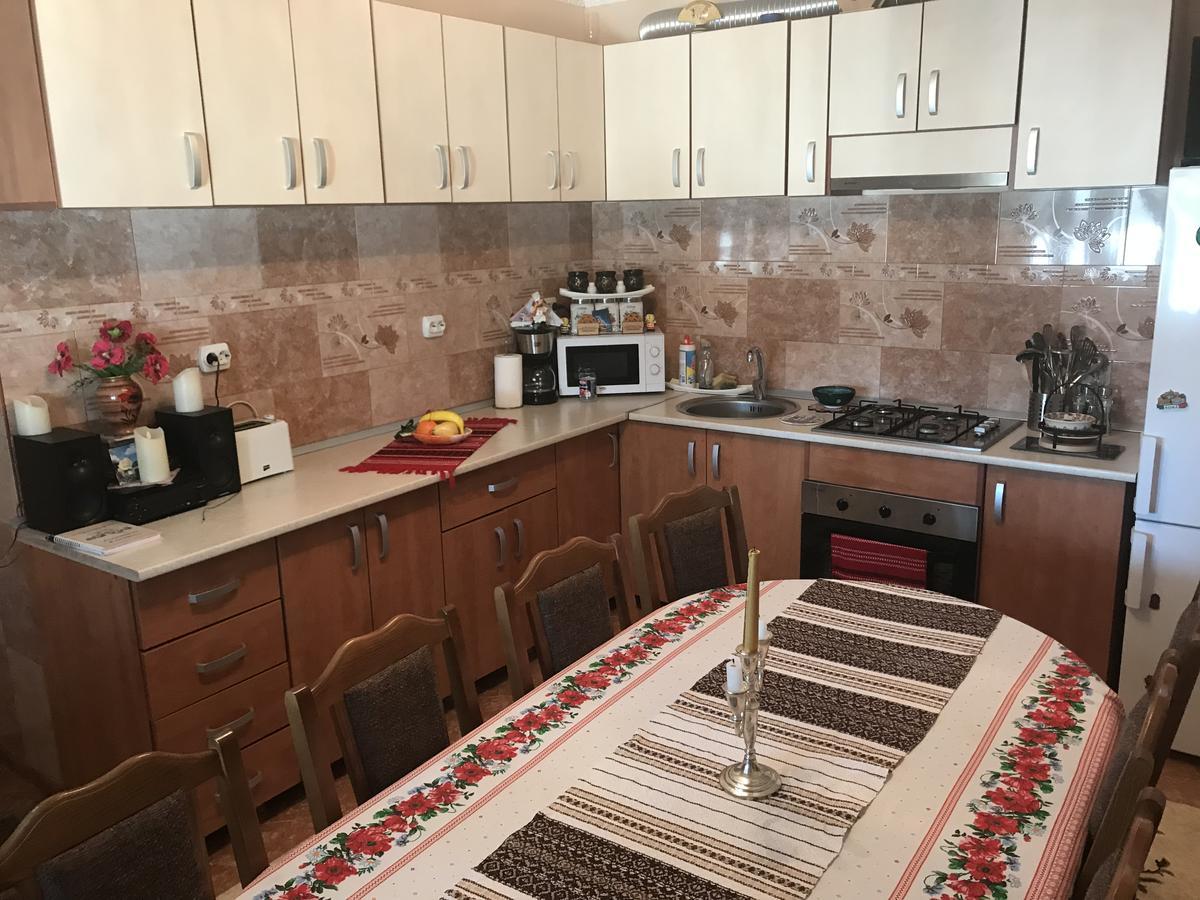 Casa Cu Pitici Guest House Vama  Bagian luar foto