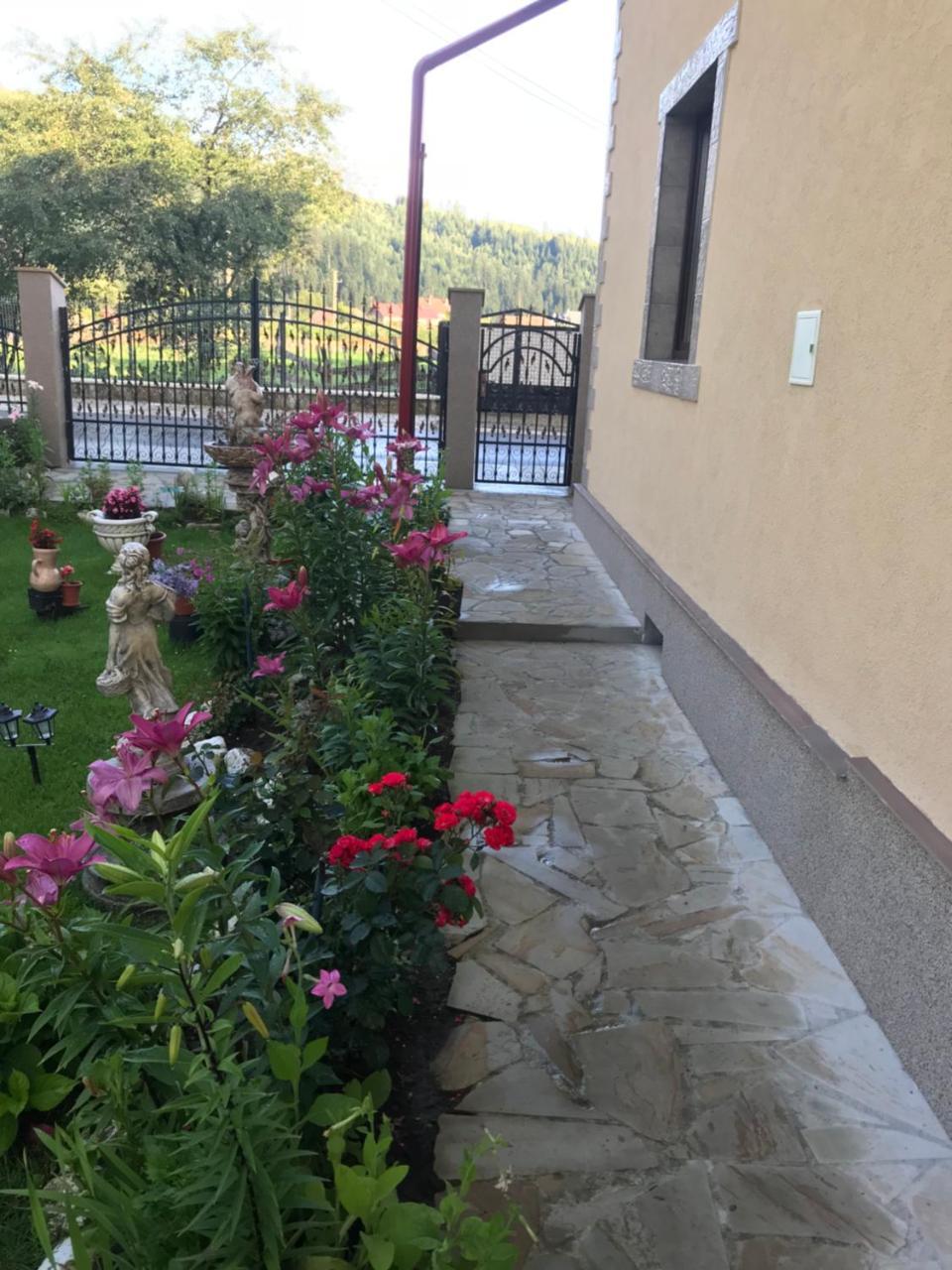 Casa Cu Pitici Guest House Vama  Bagian luar foto